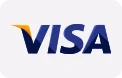 visa payment
